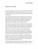 Situacion de un diseñador