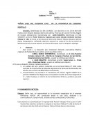 Sumilla: interpone demanda de Nulidad