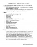 El catéter de swan- ganz esta diseñado con un balón inflable en su extremo distal, que cumple varias funciones: Quirurgica