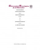 Derecho administrativo