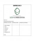 Rama del derecho a la que pertenece