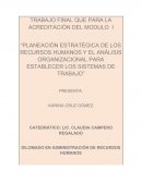 LA NUEVA PLANEACIÓN ESTRATÉGICA DE LOS RECURSOS HUMANOS Y EL ANÁLISIS ORGANIZACIONAL PARA ESTABLECER LOS SISTEMAS DE TRABAJO