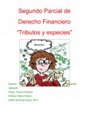 Una Breve Evolución Histórica a nivel mundial de los Tributos