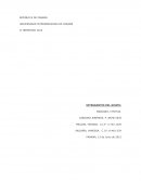 Caso empresa Bolsas y cartuchos de papel, S.A. (BOCASA)