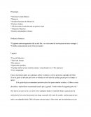 Resumen de 1° parte vernica la niña bionica