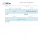 Tarea Economía Actividad