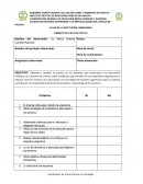 Lista de cotejo ejemplo