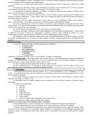 Factores del clima ensayo