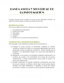 Seguridad informatica