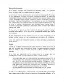 Sistema Cardiovascular
