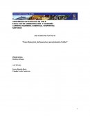 Caso Selección de Supervisor para Industria Colibrí