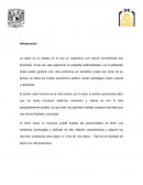 La salud como fenómeno social