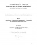 Diagnostico Comunitario Rural