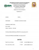 Análisis de la teoría de medición experiencia