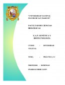 DIVISIONES PYRROPHYTA, CHRYSOPHYTA, Y CHLOROPHYTA