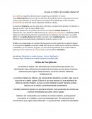 ¿A qué se refiere la comida chatarra?