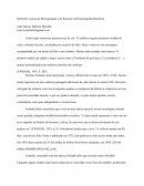 Reflexões Acerca da Miscigenação e do Racismo na Historiografia Brasileira