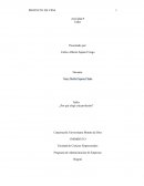 TALLER ¿POR QUÉ ELEGÍ ESTA PROFESIÓN?