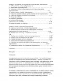 Dimensiones estructurales del Comportamiento Organizacional