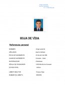 Formato hoja de vida