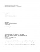 HIGIENE Y SEGURIDAD INDUSTRIAL RECONOCIMIENTO GENERAL Y DE ACTORES