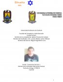 Aplicar Proceso De Compra. MANUAL DE COMPRAS (COMERCIAL)
