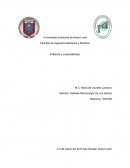 Redacta tus reflexiones sobre los principios de sustentabilidad, considerando lo que los universitarios deben aportar y saber hacer para mejorar el equilibrio ecológico