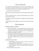 Que es una organización. Tipos de organización