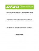 Estructura de una empresa