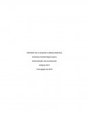 Administración de la producción, empresa Gamma Ltda