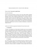 Trabajo de segmentacion