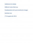 Control 1 prevencion de riesgo