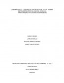 DISMINUCIÓN DEL CONSUMO DE VAPOR DE AGUA EN LOS HORNOS DE POLIMERIZACIÓN DE LÁMINAS ACRILICAS. (Ahorro energético en el proceso de polimerización)