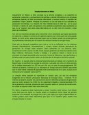 ENERGIAS ALTERNATIVAS EN MEXICO