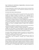 Resumen cap. 8 del libro de karp, biologia celular y molecular