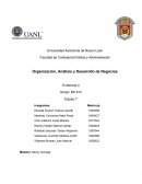 Organizacion analisis y desarrollo de negocios