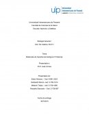 Laboratorio Moléculas de importancia biológica II Proteínas