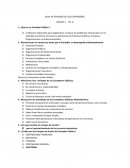 Ensayo Qué es un Contador Público ?