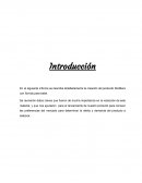 Plan de mercadeo Rodillera con Sonido para bebé
