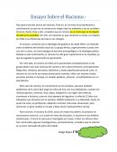 Ensayo sobre el Racismo
