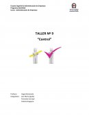 Administración de empresas. Taller Nº 9 “Control”