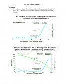 Nefropatia diabetica