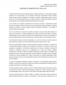 CUALES SON LAS CADENAS DE SUMINISTRO DEL SIGLO XXI