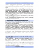 Adaptacion y principios constitucionales