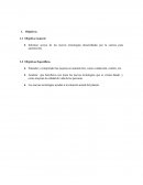 Automoviles informe