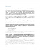 Resumen escuela matematica