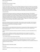 El nuevo Proyecto de educacion vial