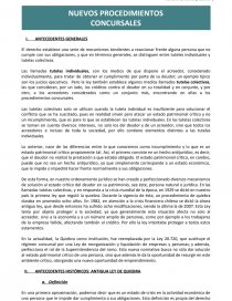NUEVOS PROCEDIMIENTOS CONCURSALES. Página 1