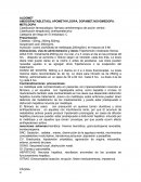Clasificación farmacológico: fármaco antidrenergico de acción central .