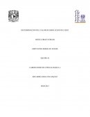 Determinacion del calor de disolucion del H2O2